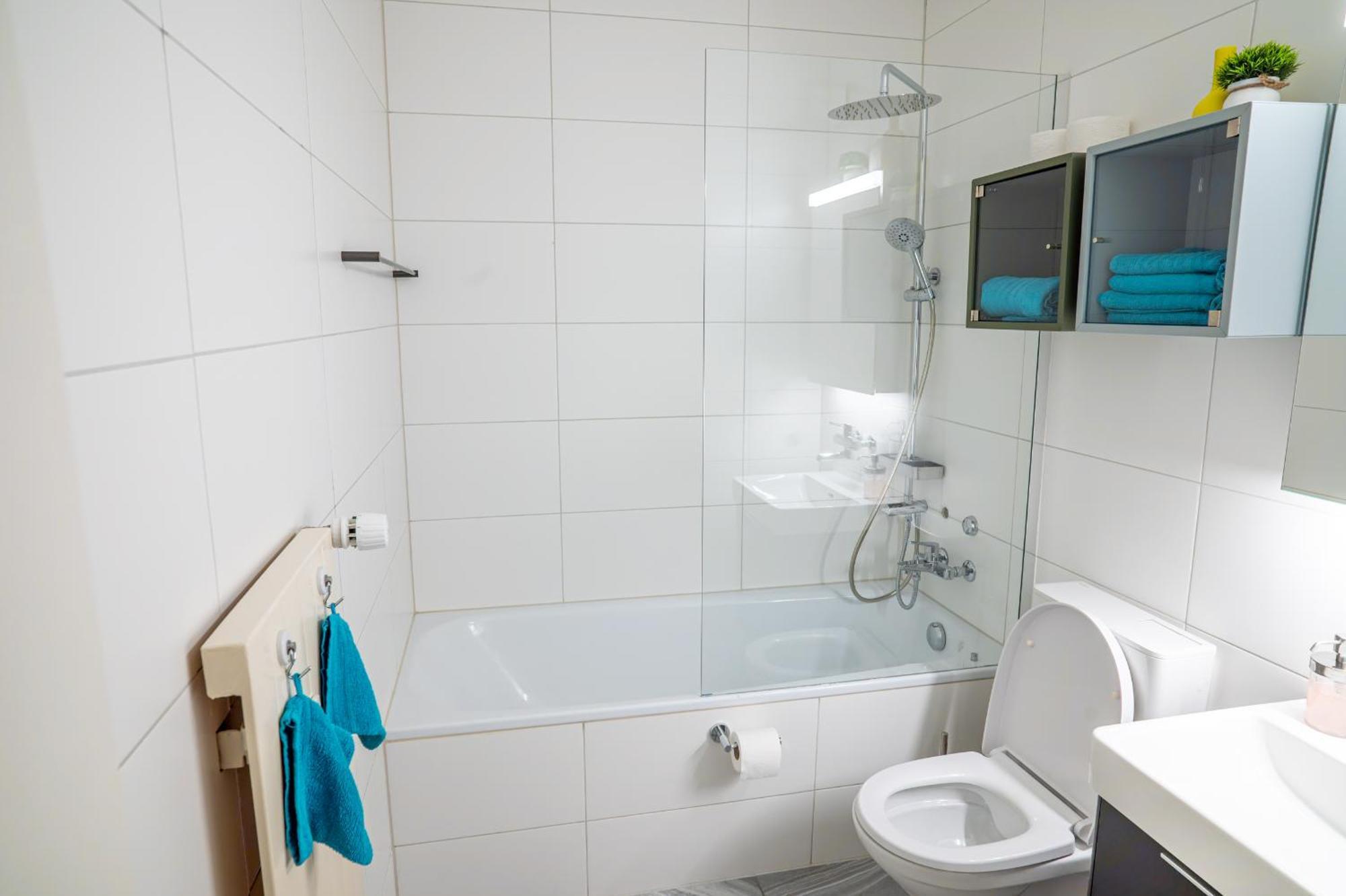 Expo-Basel-Ch Apt, Amazon Prime Video, Wifi, Coffee & Tee, Popcorn, Kitchen Ngoại thất bức ảnh