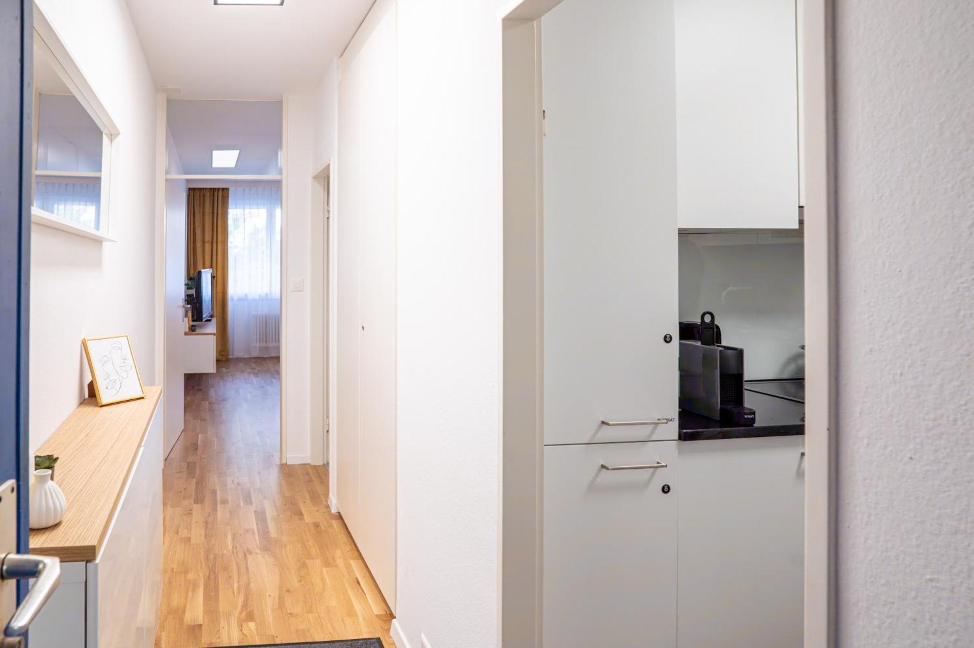 Expo-Basel-Ch Apt, Amazon Prime Video, Wifi, Coffee & Tee, Popcorn, Kitchen Ngoại thất bức ảnh